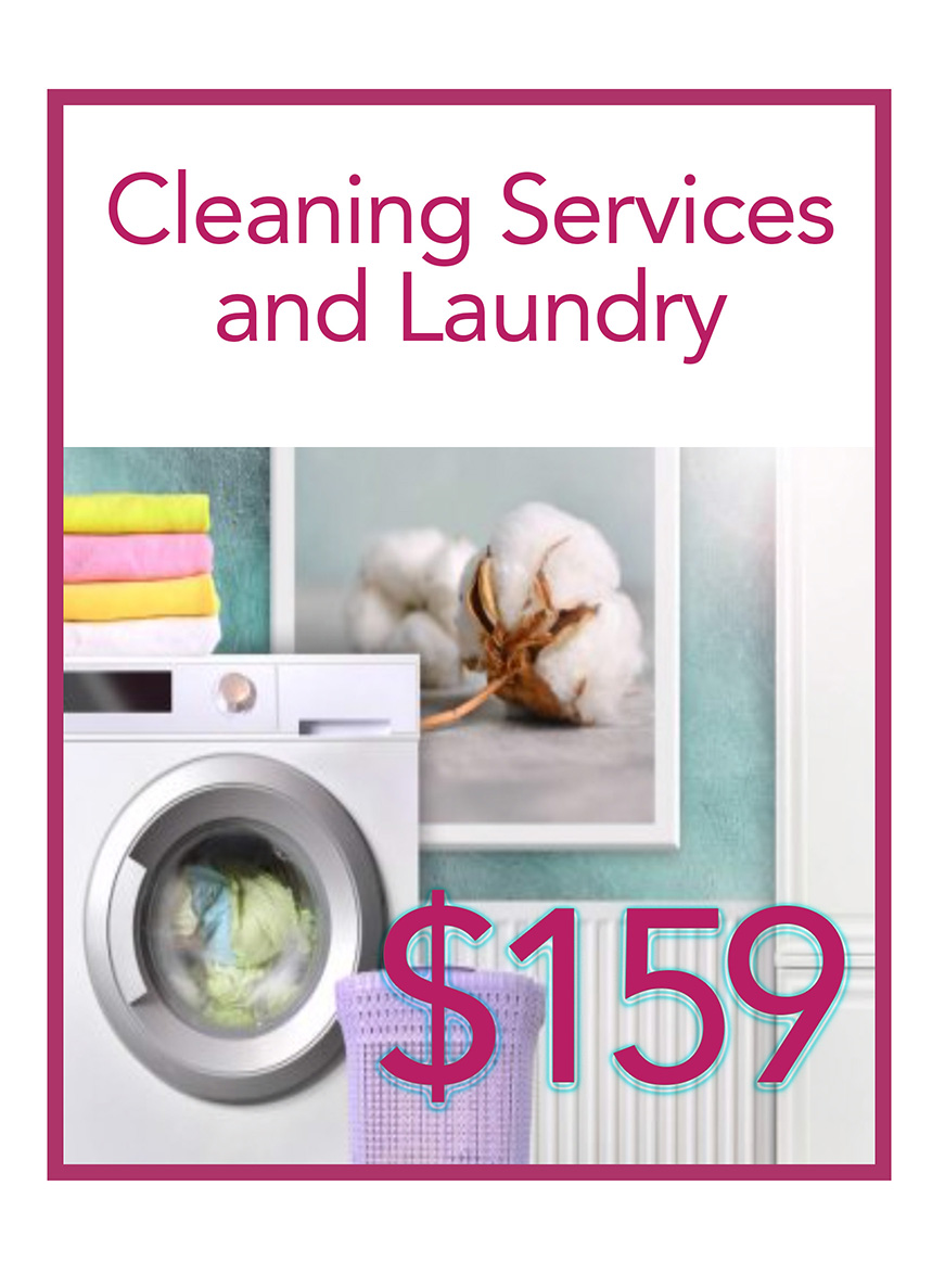 159_dollar_clean_house